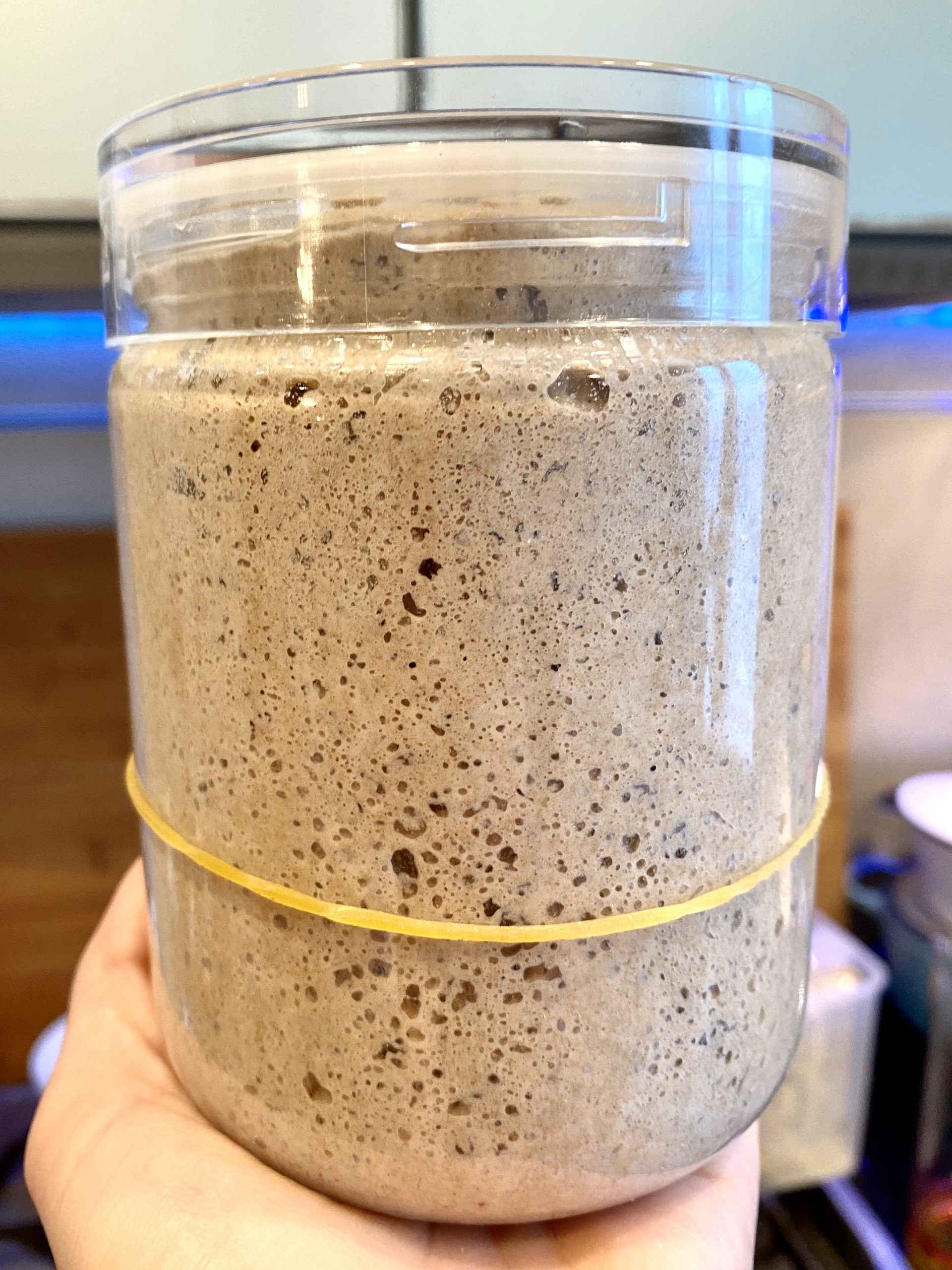 Sourdough Starter Maintenance Routine