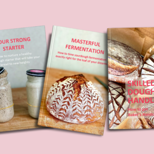 The 3 Ebook Bundle