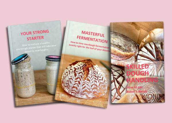 The 3 Ebook Bundle