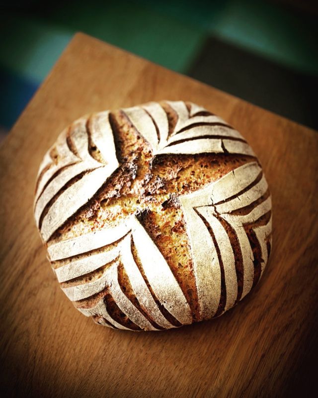 I’ll be posting the speeded up version of the sonic scoring video for this easy pattern here soon. If you want more videos of how to score this and similar patterns in real time, look into my YouTube channel. I’ll be posting many of them there soon. 

Happy baking! 

Nicola 

#proofperfected #soniclame #sonicscoring #breadscoring #breadsofinstagram #bread #brot #sauerteig #sourdough #roggenbrot #ryebread #sourdoughscoring #breadart #flourwatersalt
